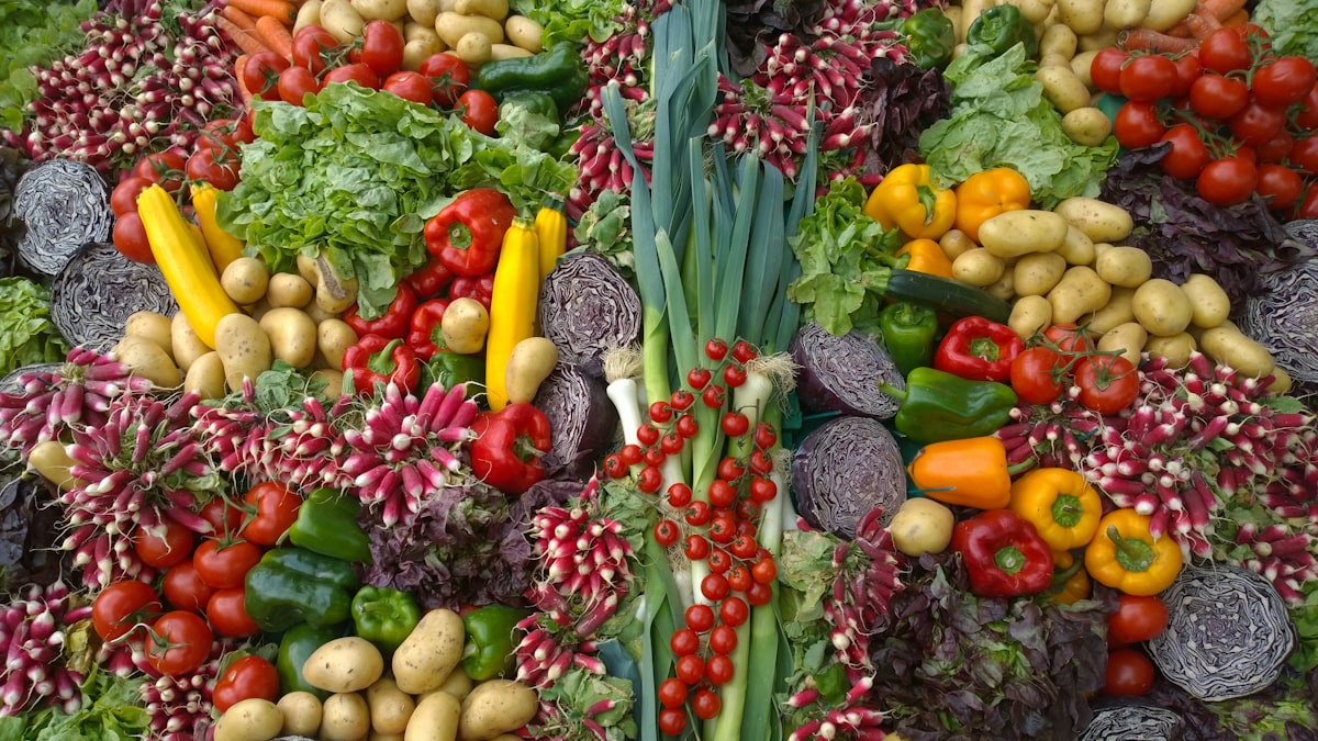 Vitamines et minéraux essentiels